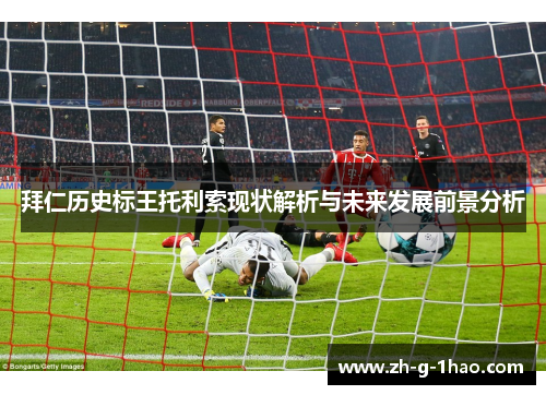 拜仁历史标王托利索现状解析与未来发展前景分析