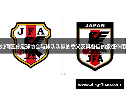 如何区分足球协会与球队队徽的意义及其各自的象征作用