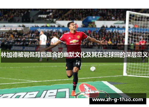 林加德被调侃背后蕴含的幽默文化及其在足球圈的深层意义