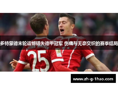 多特蒙德末轮遗憾错失德甲冠军 伤痛与无奈交织的赛季结局
